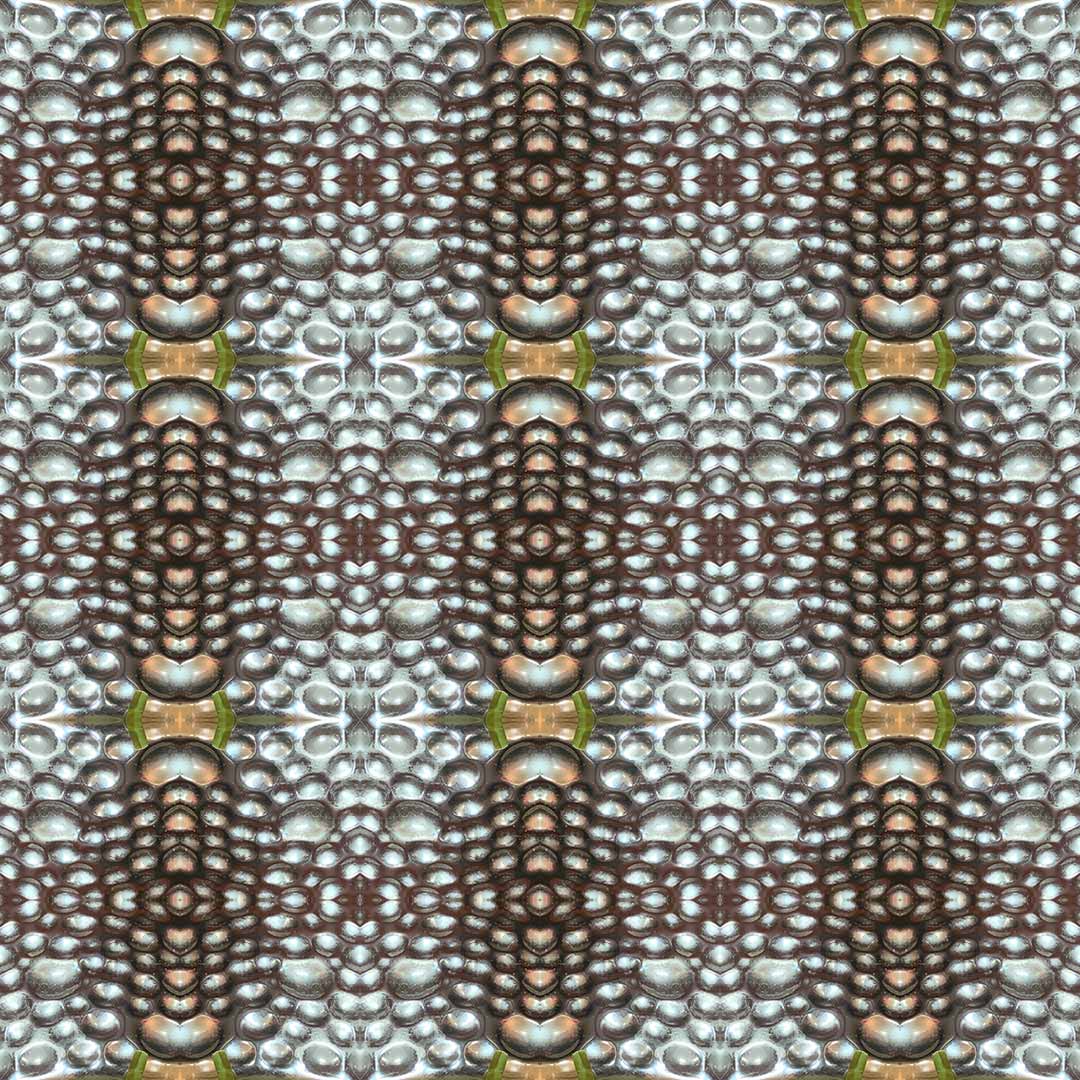Pashmina Scarf (Beaded Bee)