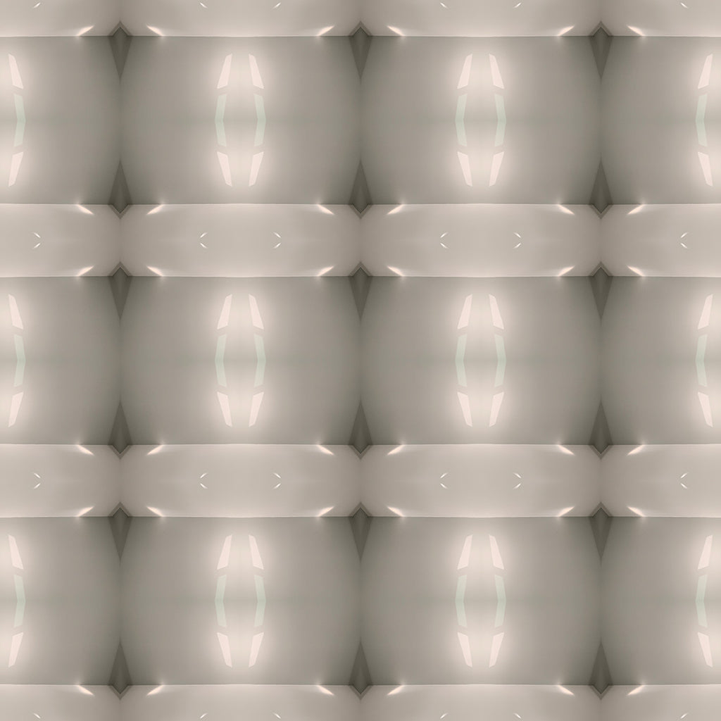 Lined Zip Hoodie (Bulbs)