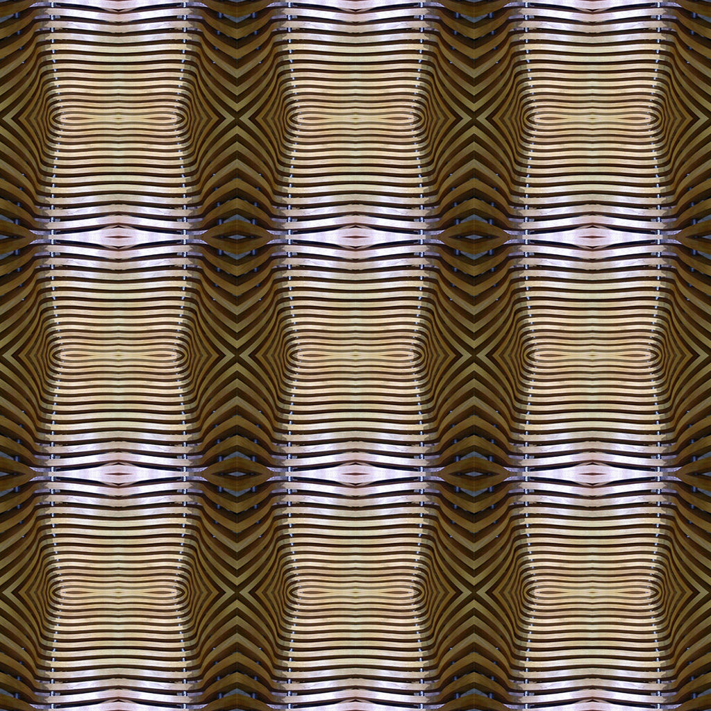 Boxer Briefs (Dino Bones)