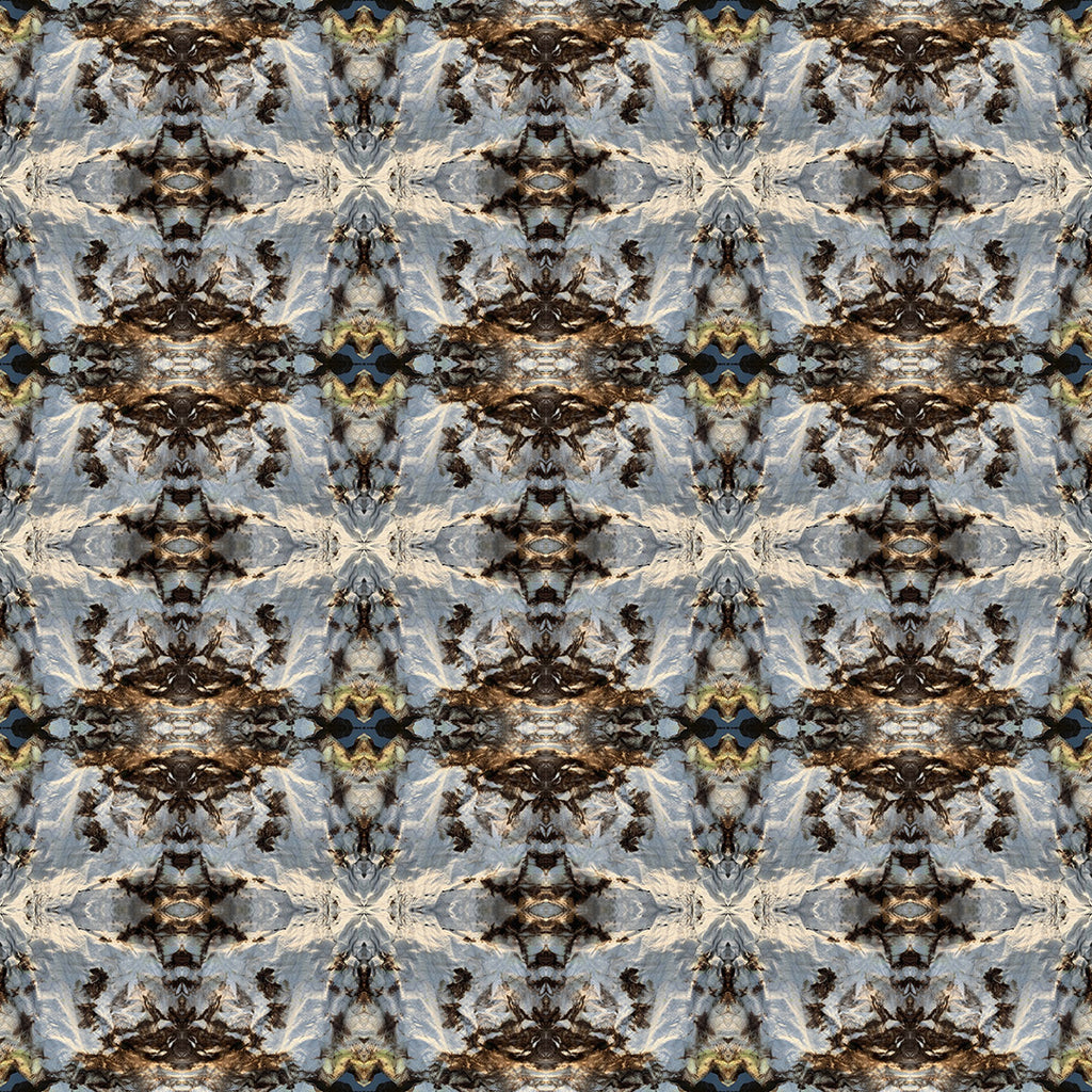 Long Sleeve Button Down Shirt (Moth)