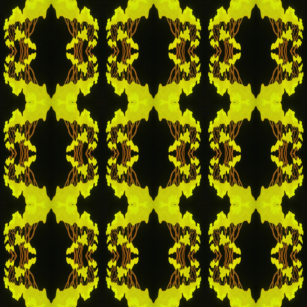 Long Sleeve Button Down Shirt (Neon Trees No. 2)