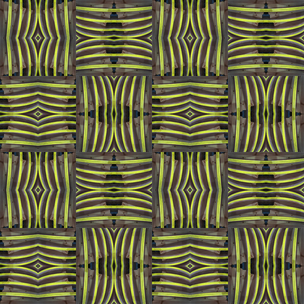 Short Sleeve Button Down Shirt (Teeth No. 4)