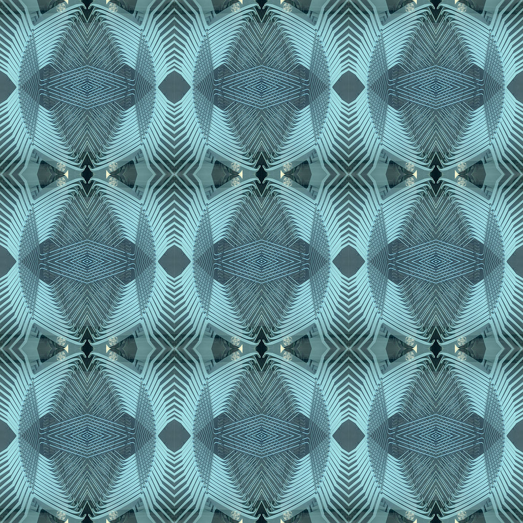 Windbreaker (Wilcox)