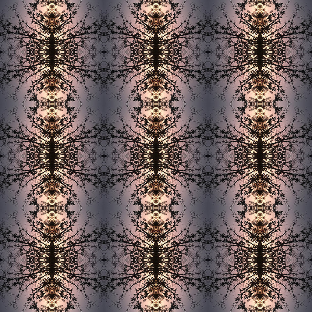 9oz Clean Scented Candle (Ants Marching)