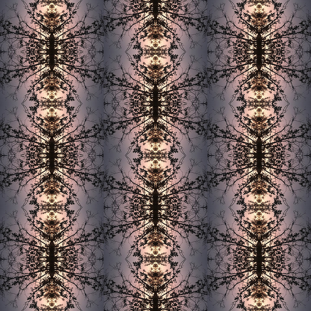 Boxer Briefs (Ants Marching)