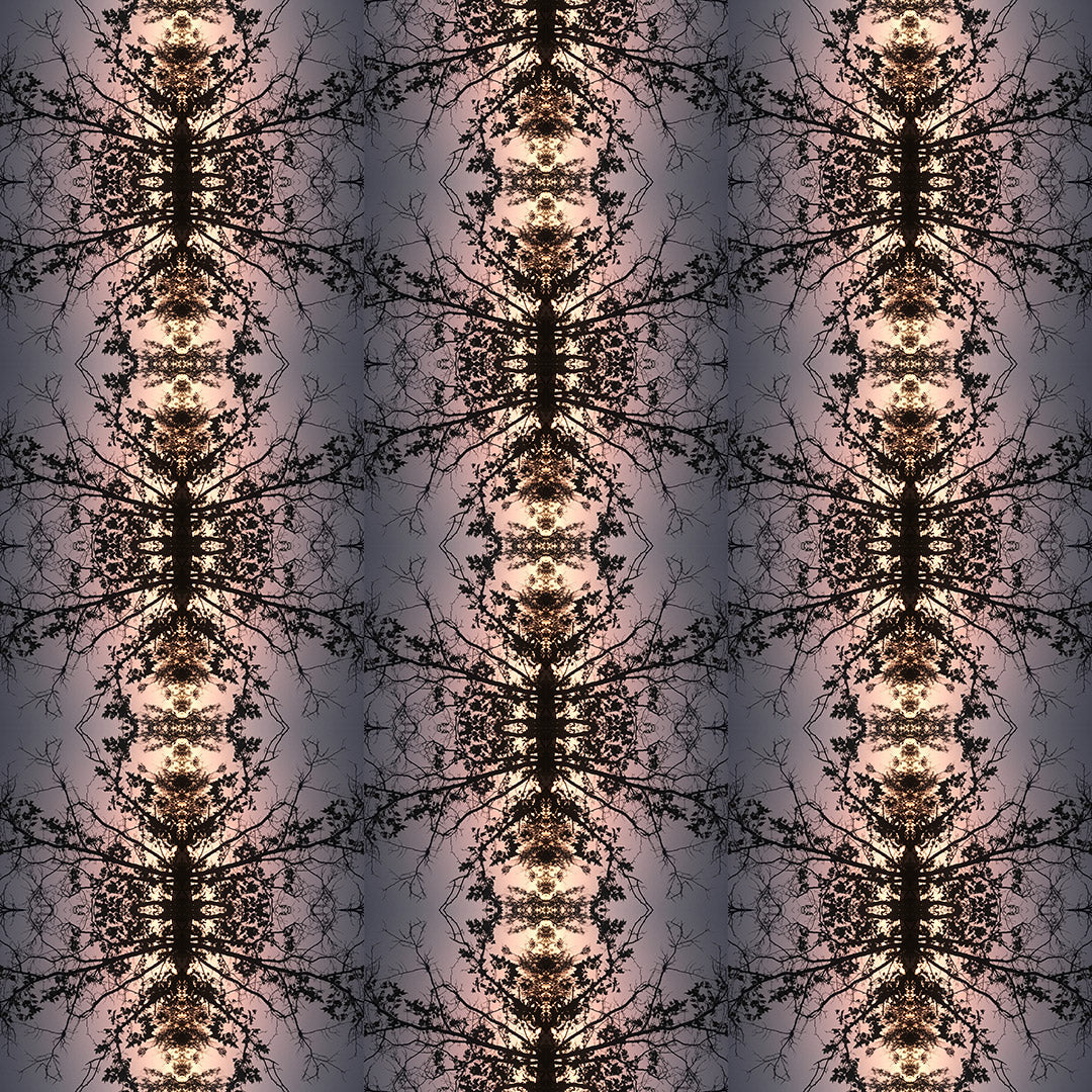 Eco-friendly Stretch Shorts (Ants Marching)