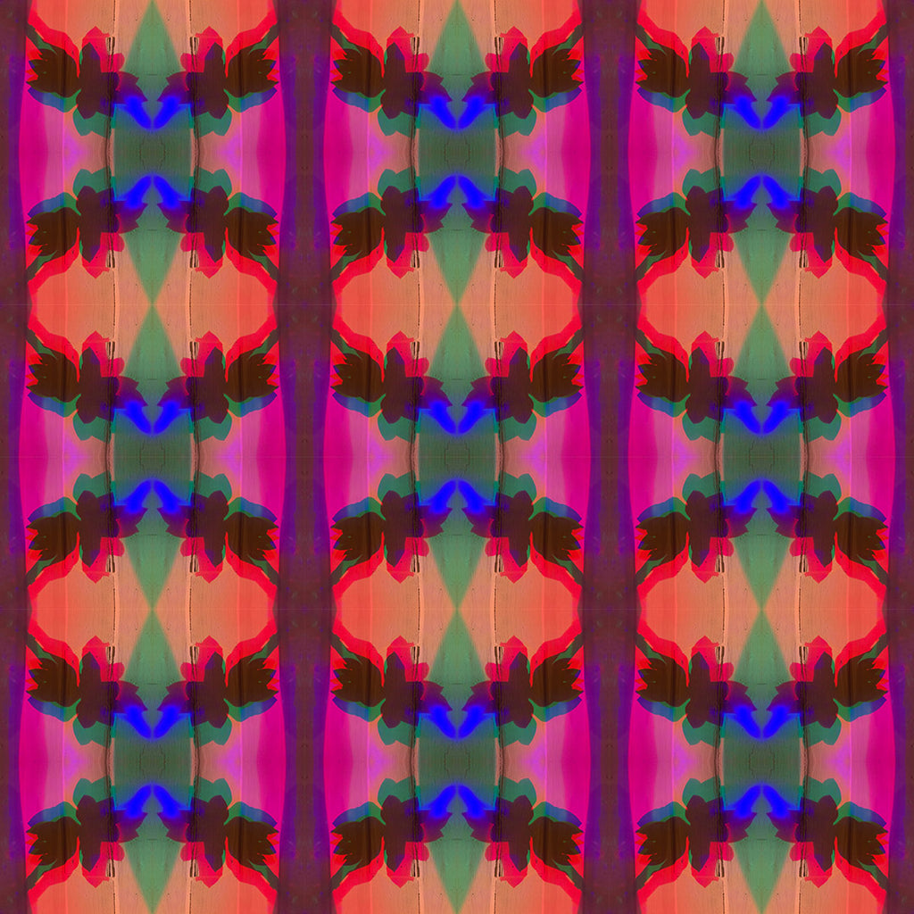 Windbreaker (Caesar No. 1)