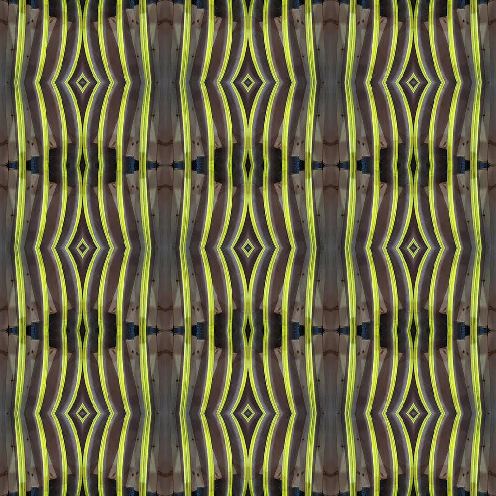 Shower Curtain (Teeth No. 3)