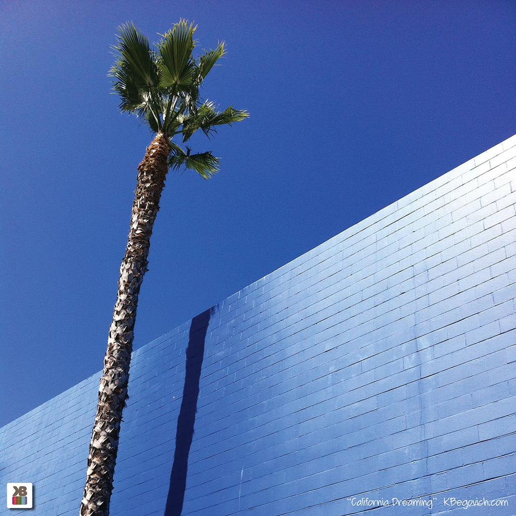 Art T-shirt (California Dreaming)