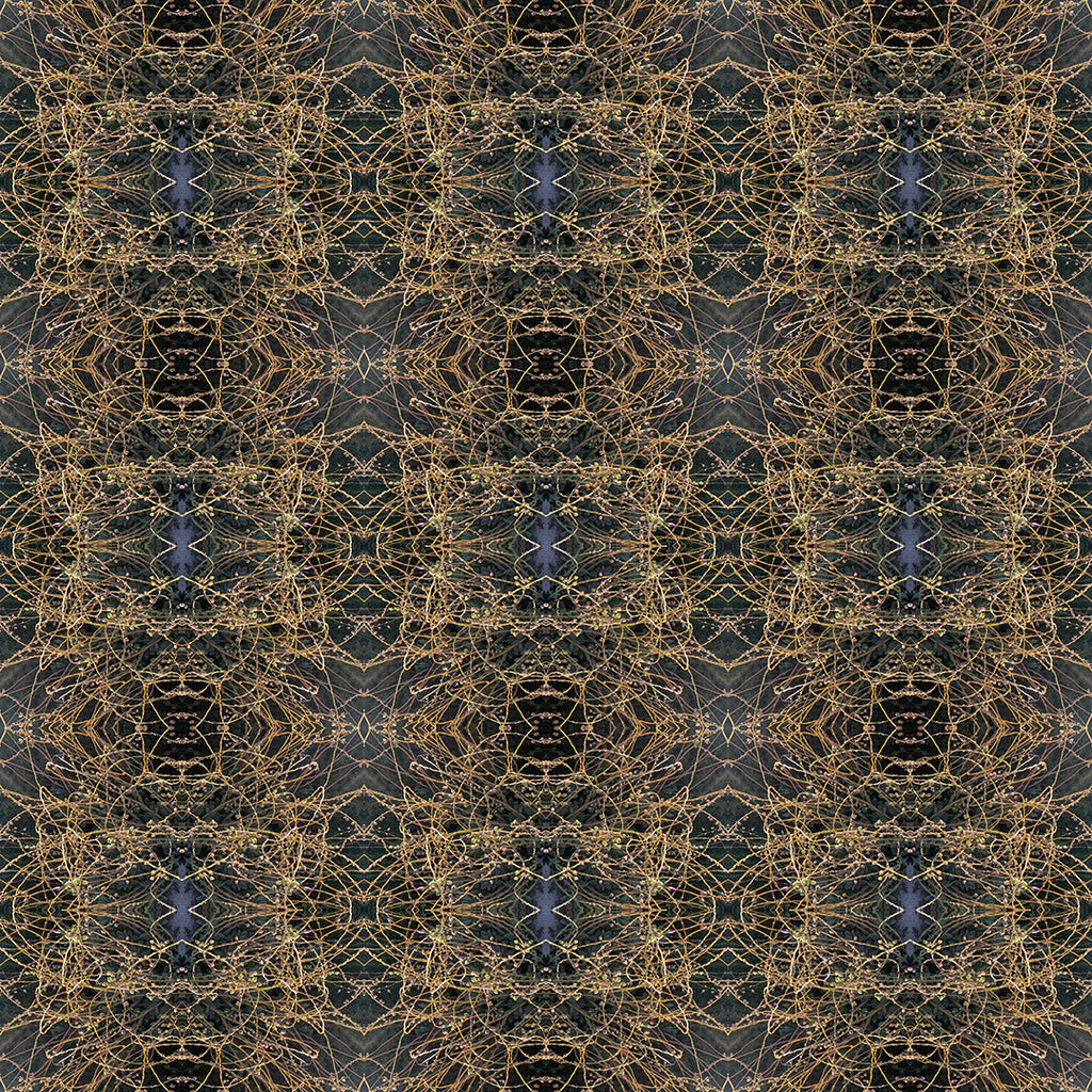 Bomber Jacket (Golden Thread No. 3)