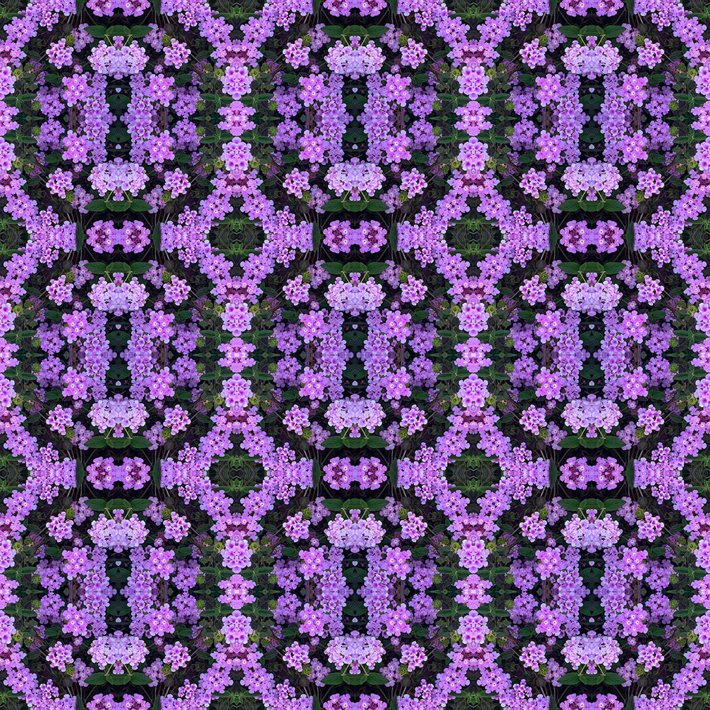 One-Piece Swimsuit Woman (Violet Rings)