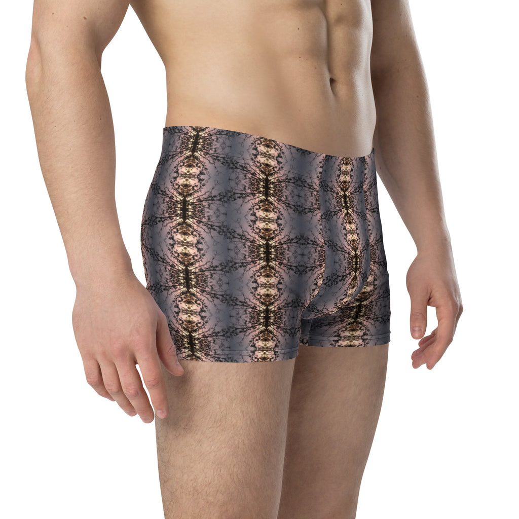 Boxer Briefs (Ants Marching)