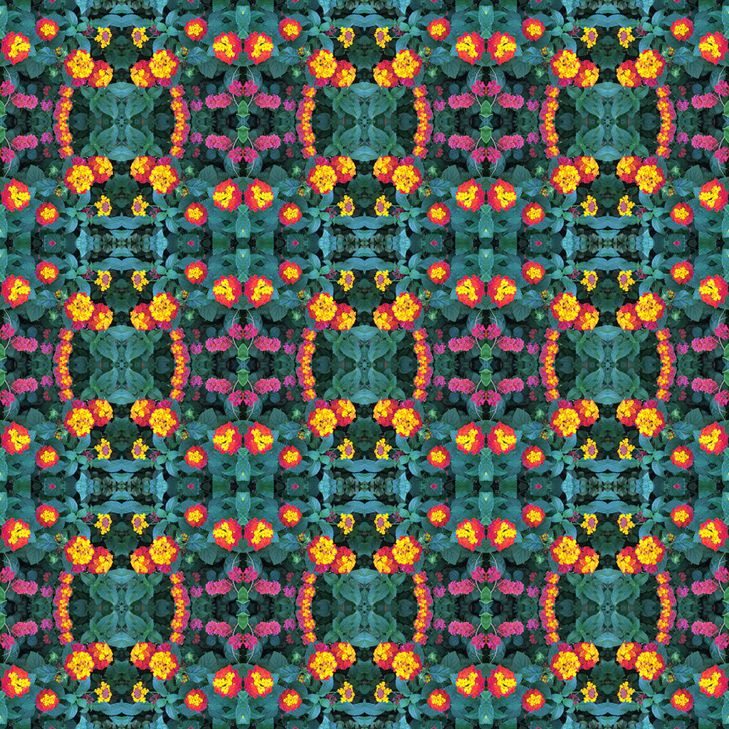 Short Sleeve Button Down Shirt (Floral Rings)