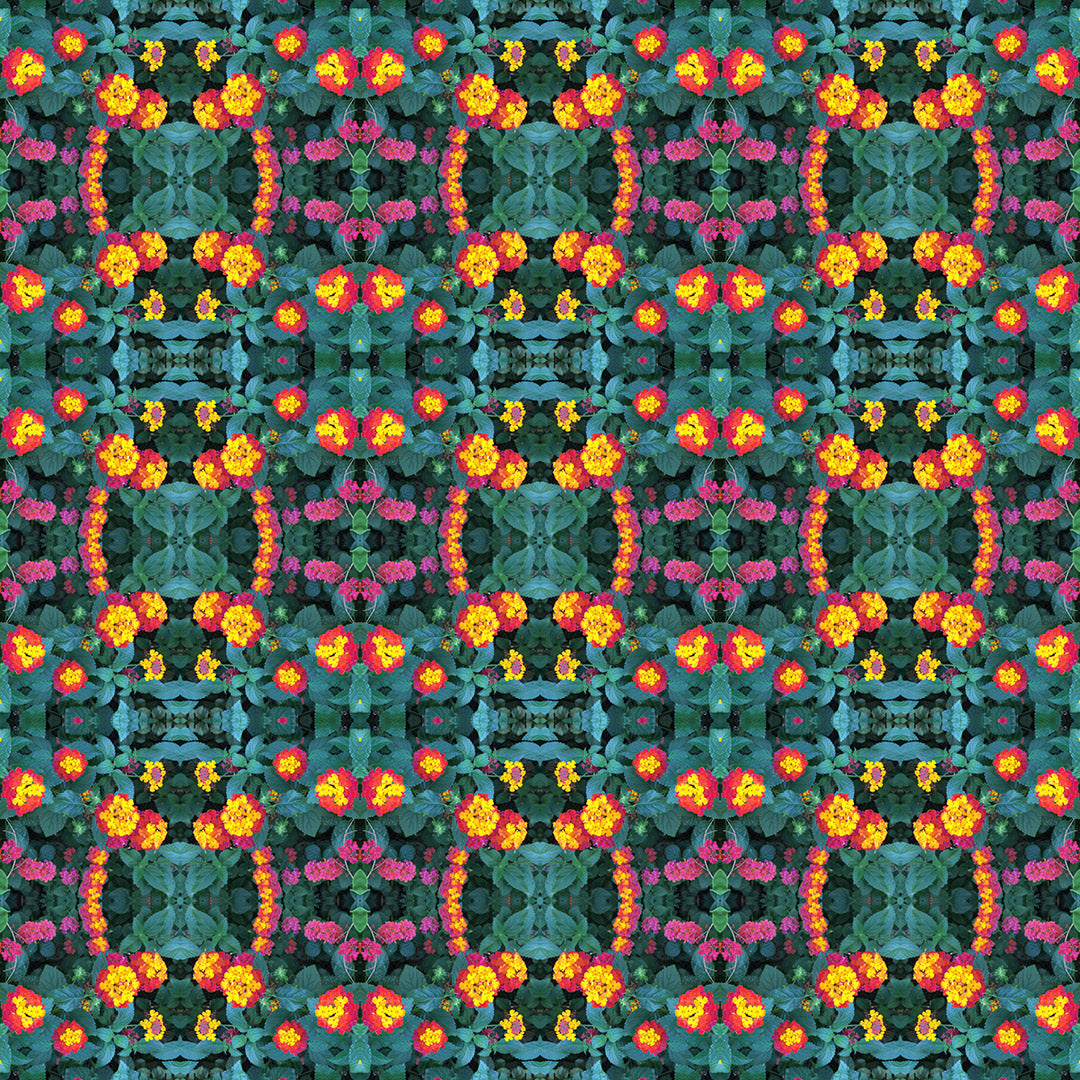 Short Sleeve Button Down Shirt (Floral Rings)