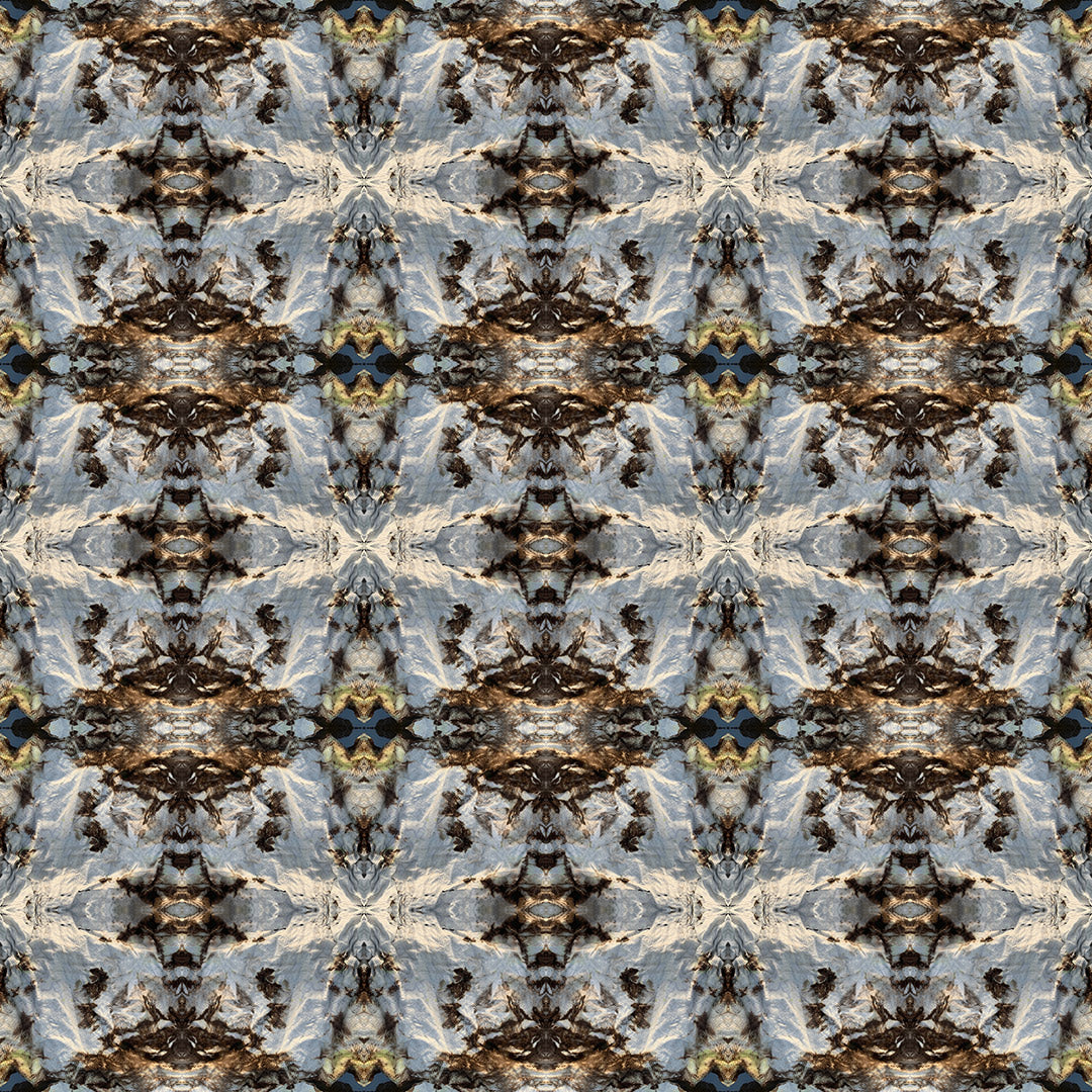 Pullover Hoodie (Moth)