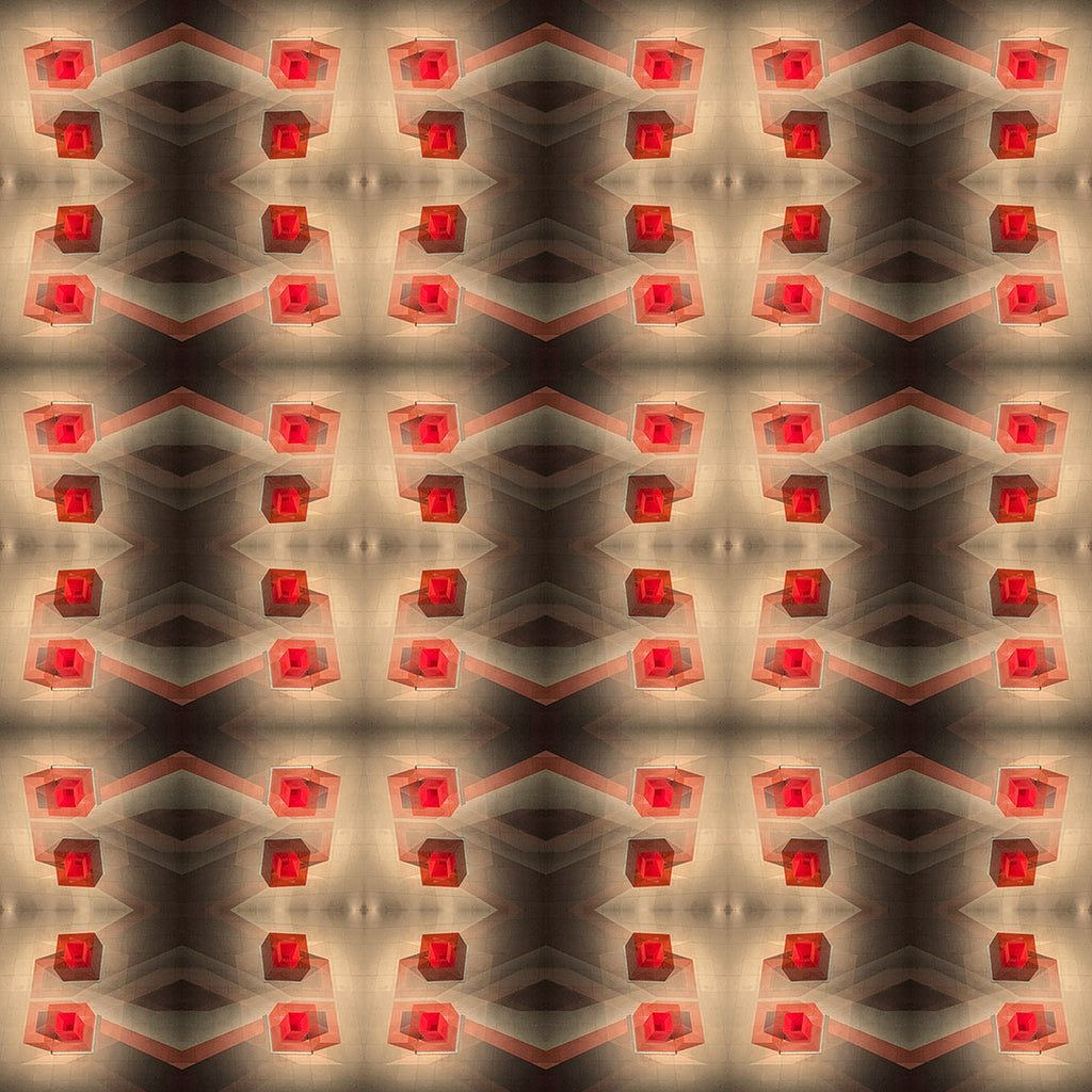 Short Sleeve Button Down Shirt (Viva!)