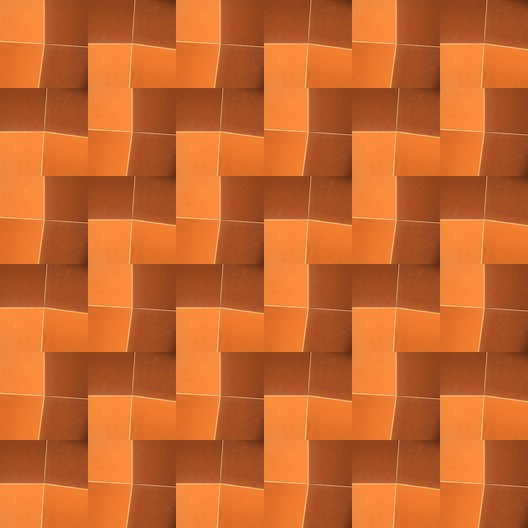 Swim Trunks (Burnt Orange Tiles)