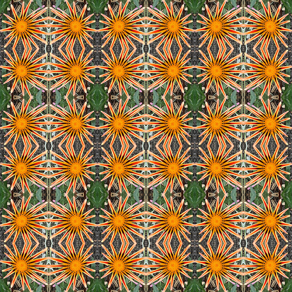 9oz Clean Scented Candle (Floral Dots)