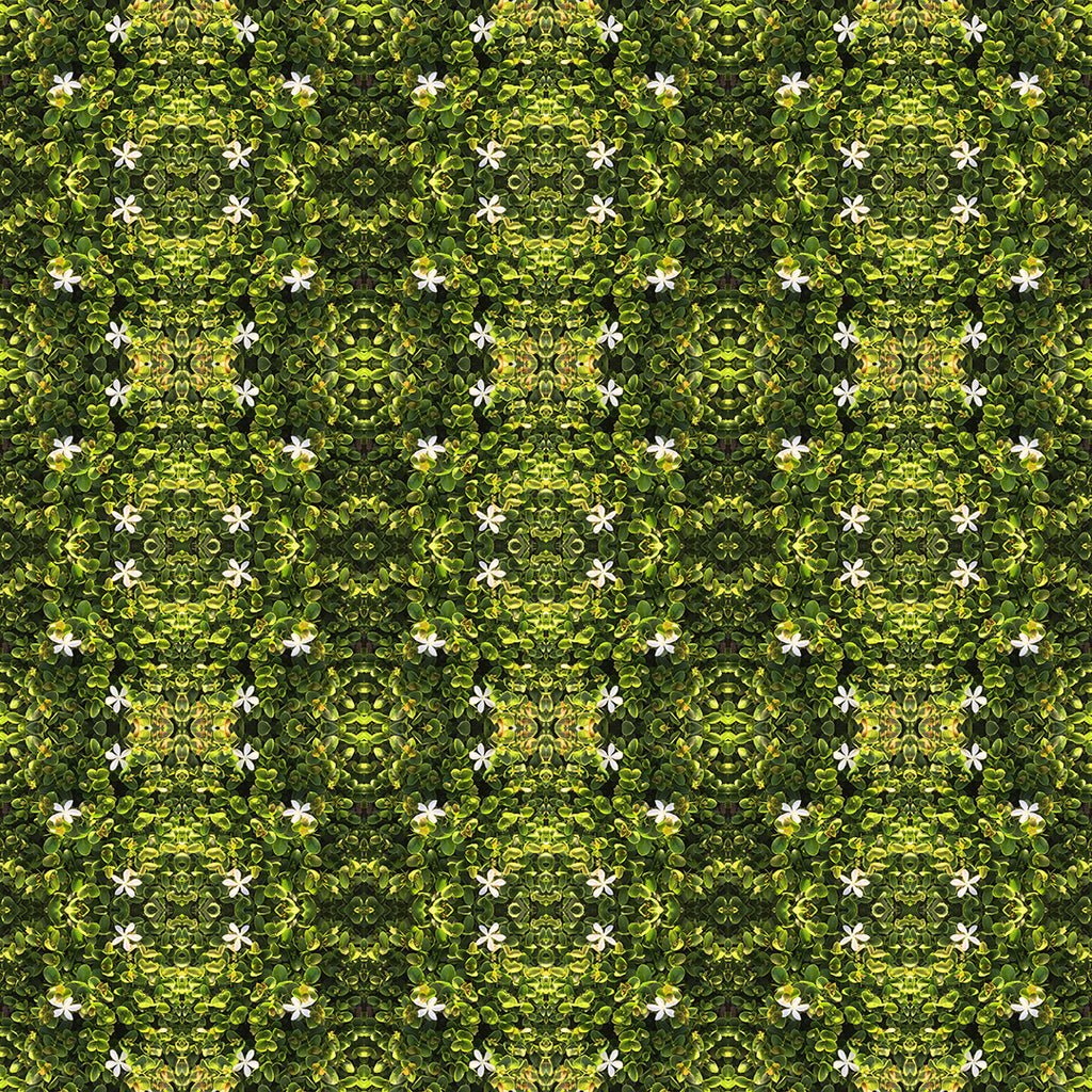 Short Sleeve Button Down Shirt (Avacado Floral)