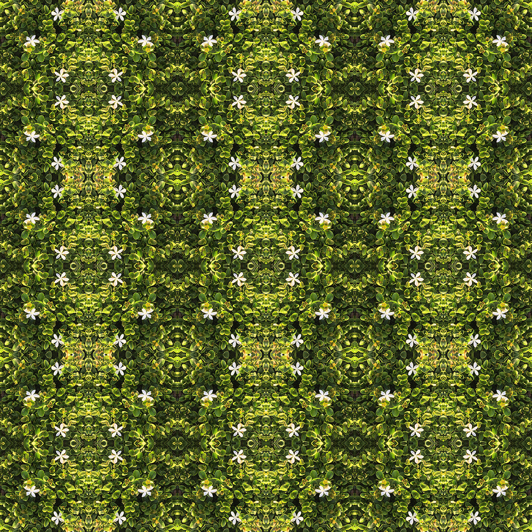 Short Sleeve Button Down Shirt (Avacado Floral)