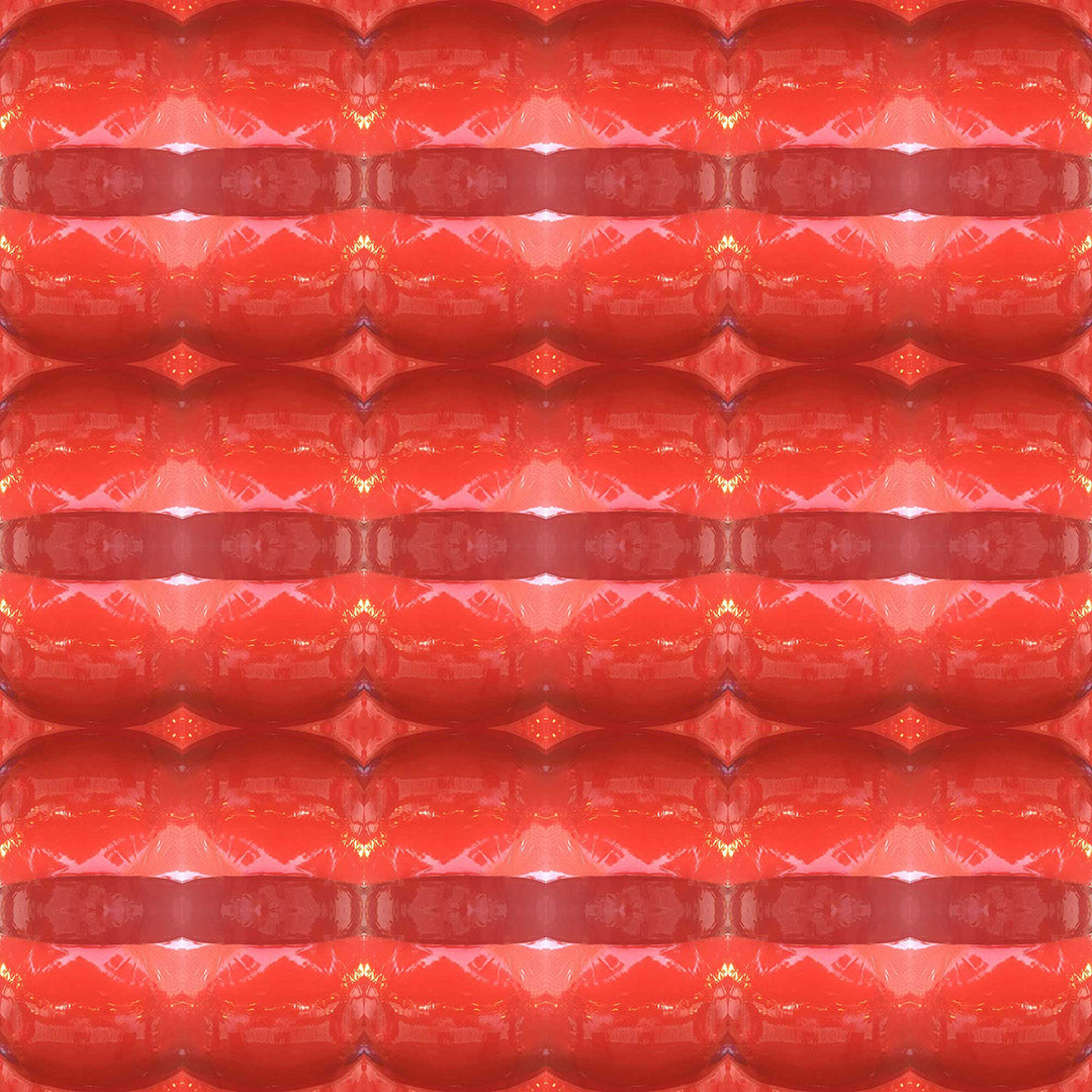 Short Sleeve Button Down Shirt (Kiss)