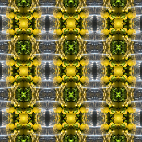 A-Line Dress (Lemon Snakes)
