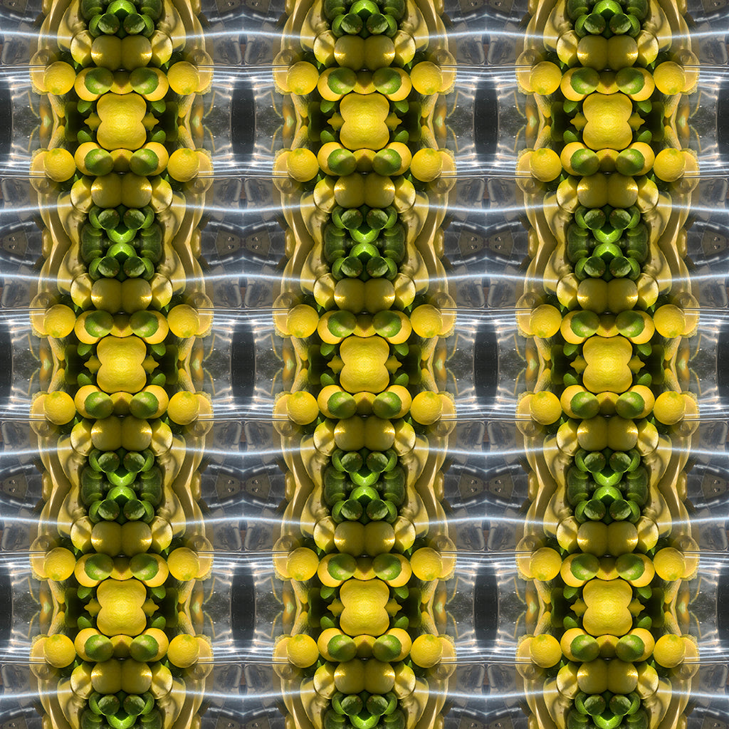 Swim Trunks (Lemon Snakes)