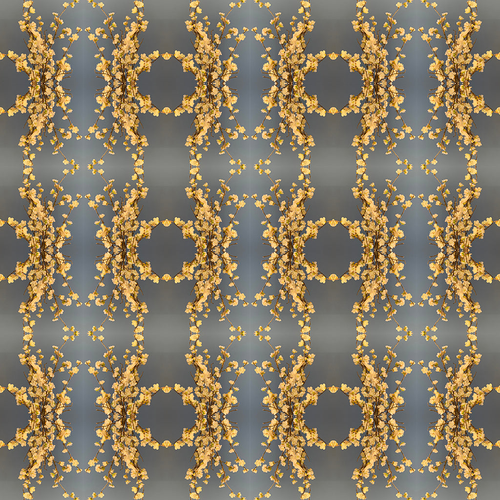 Swim Trunks (Popcorn)