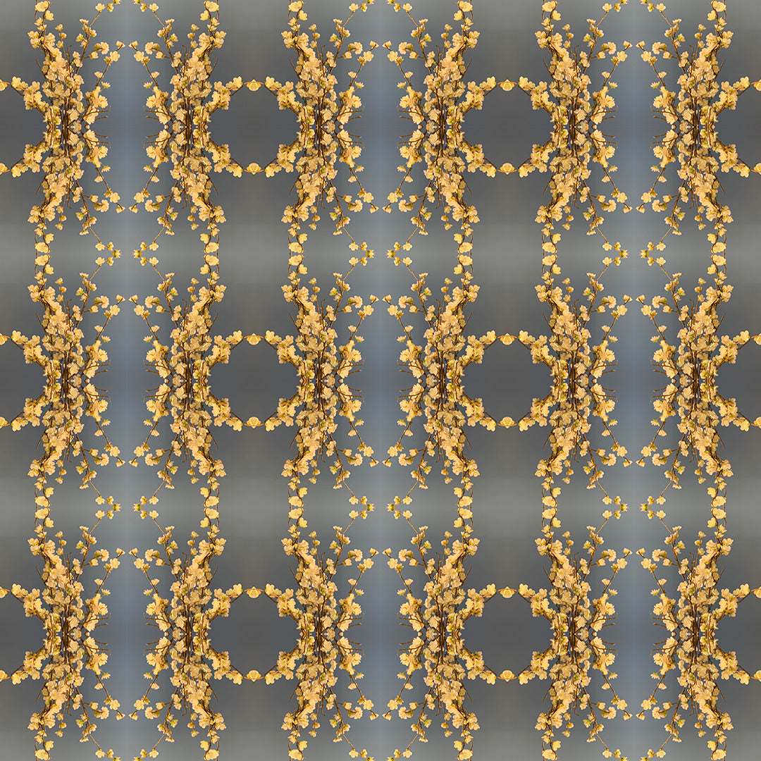 Swim Trunks (Popcorn)