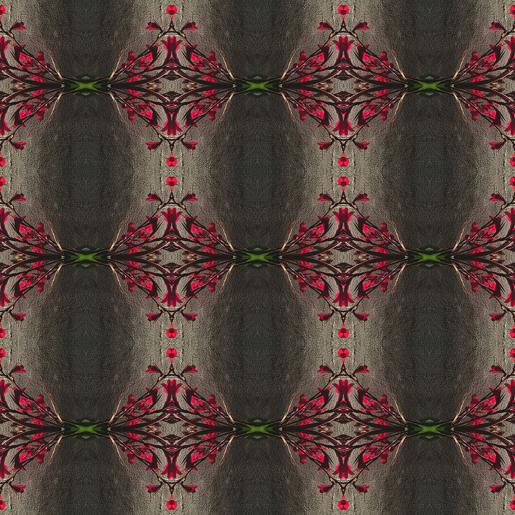 Swim Trunks (Red Flowers)