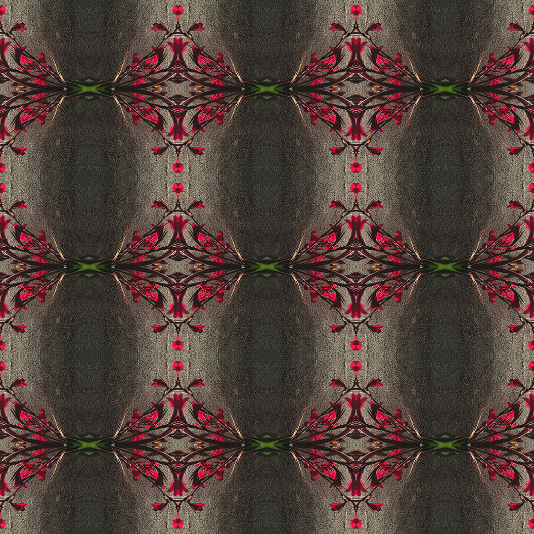 Swim Trunks (Red Flowers)