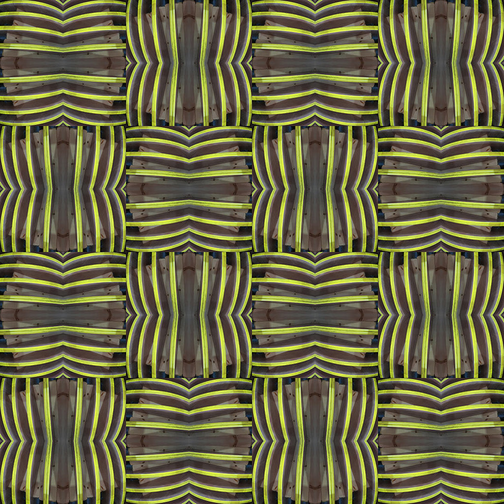 Swim Trunks (Teeth No. 1)