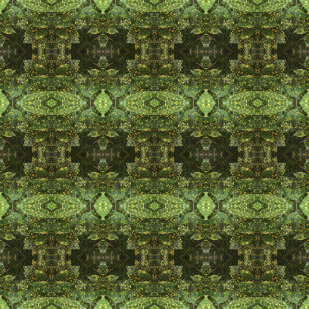 Eco-friendly Swim Trunks (Dinosaur)