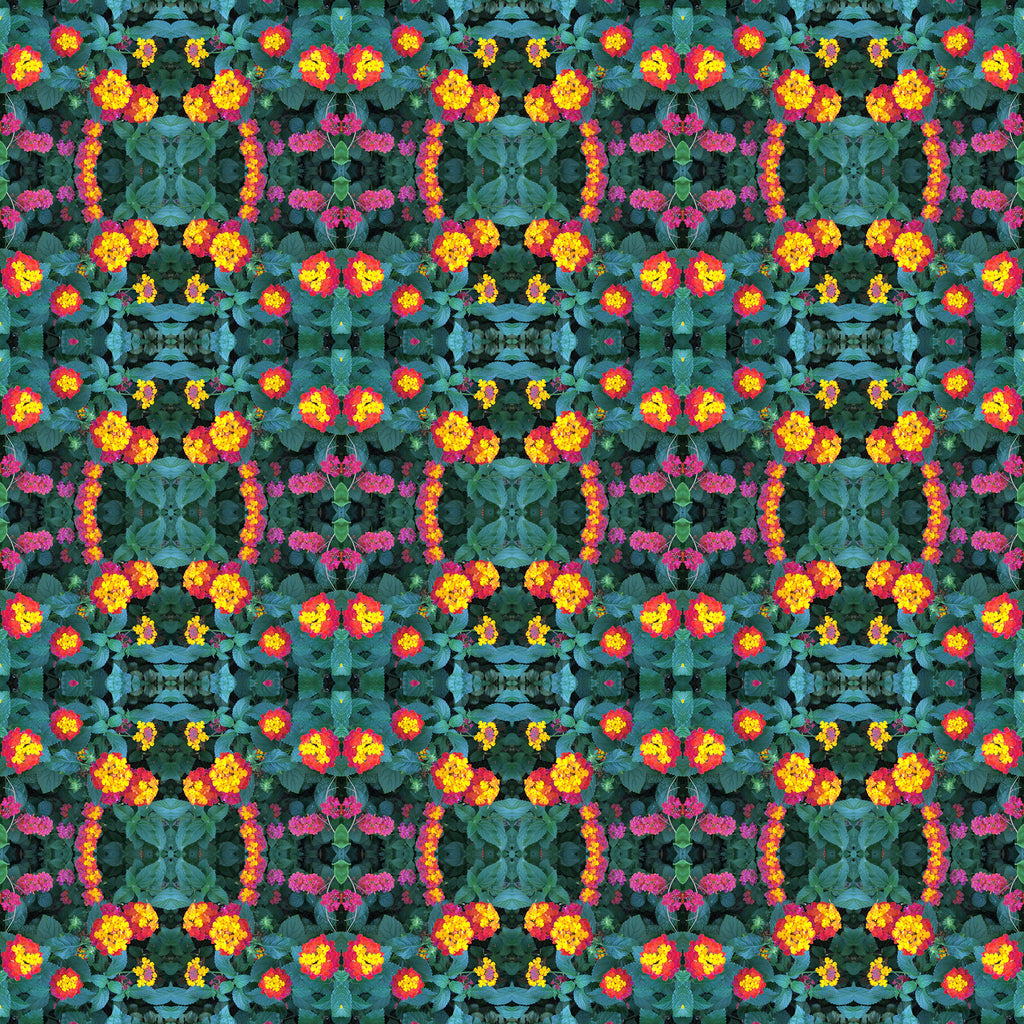 One-Piece Swimsuit Woman (Floral Rings)