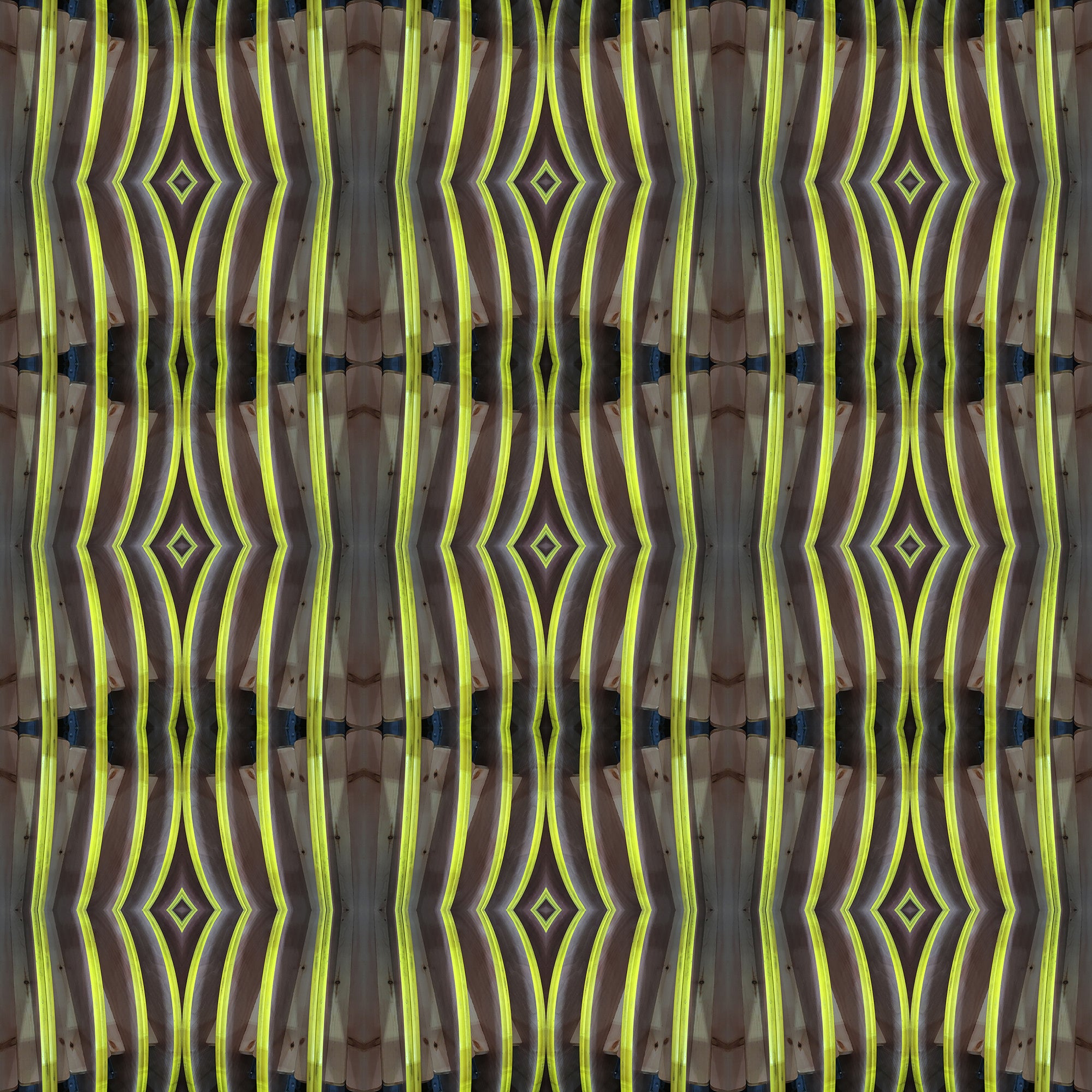 Short Sleeve Button Down Shirt (Teeth No. 3)