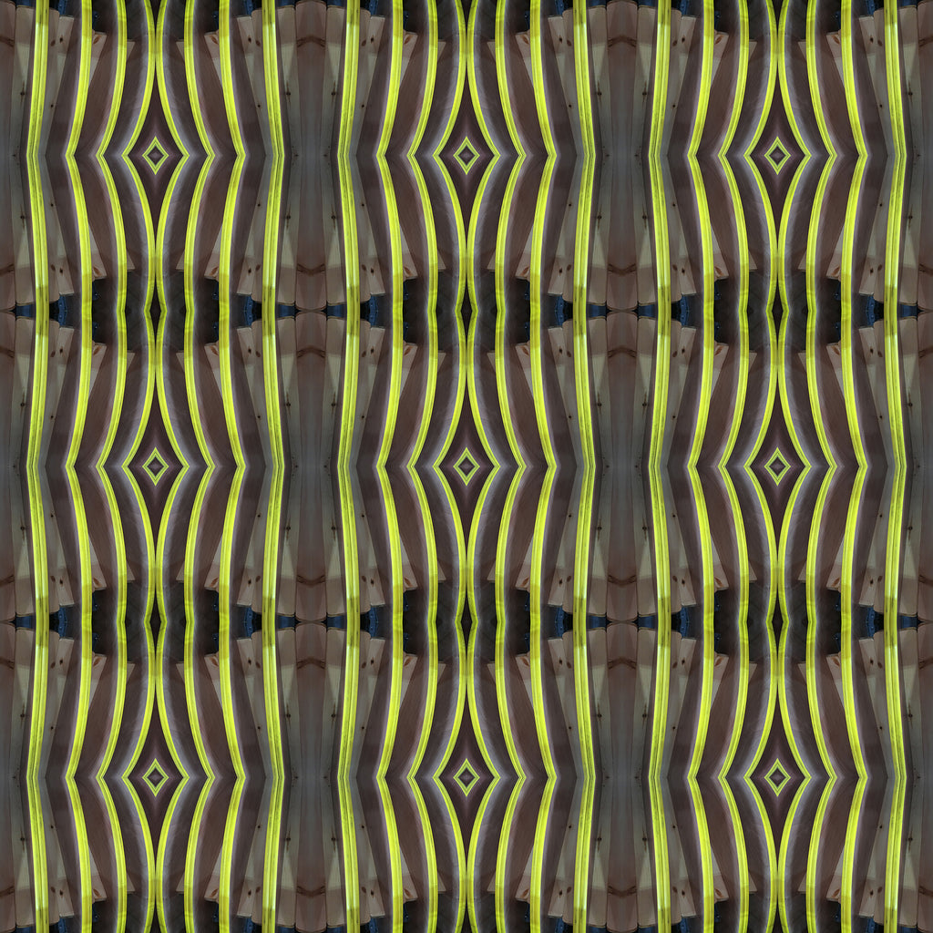 A-Line Dress (Teeth No. 3)