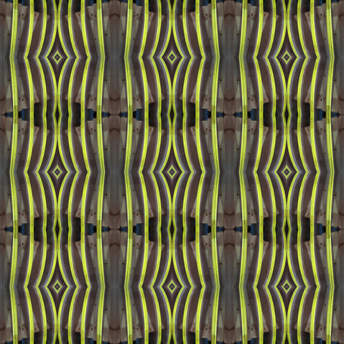 A-Line Dress (Teeth No. 3)