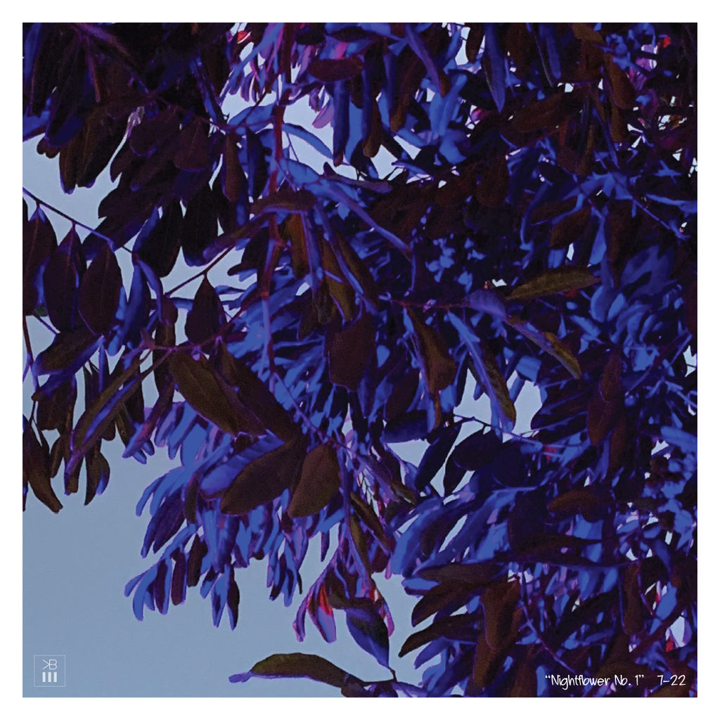 Nightflower No. 1, Nightflower No. 2, Nightflower No. 3