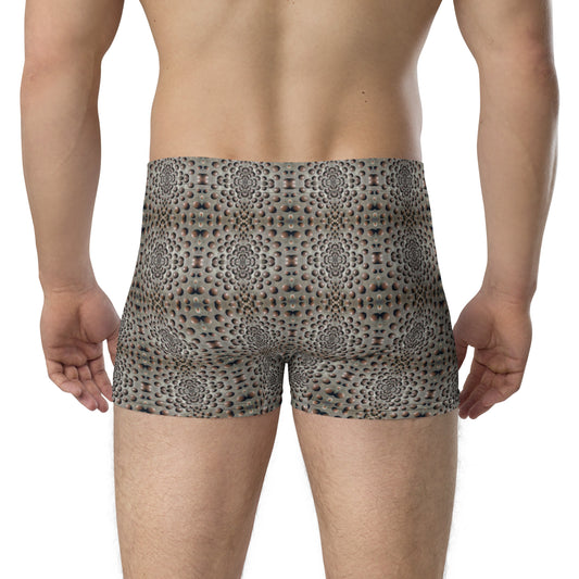 Boxer Briefs (Snow Leopard)