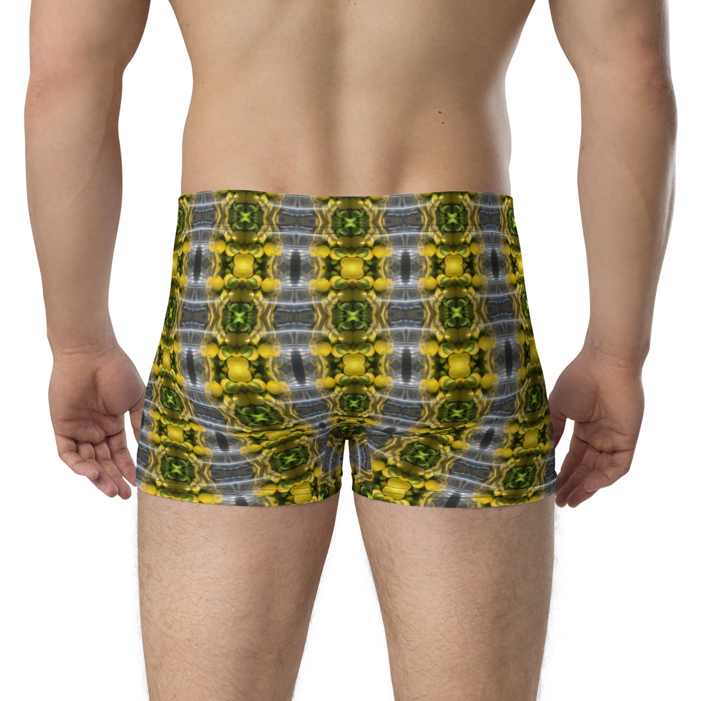 Boxer Briefs (Lemon Snakes)