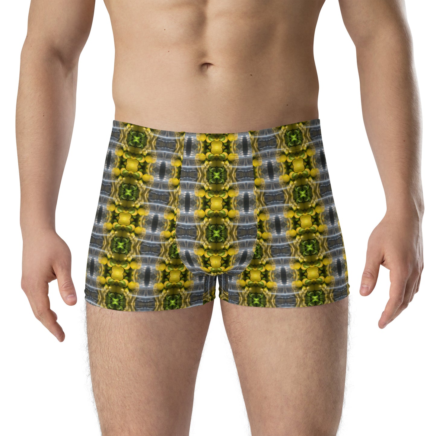 Boxer Briefs (Lemon Snakes)