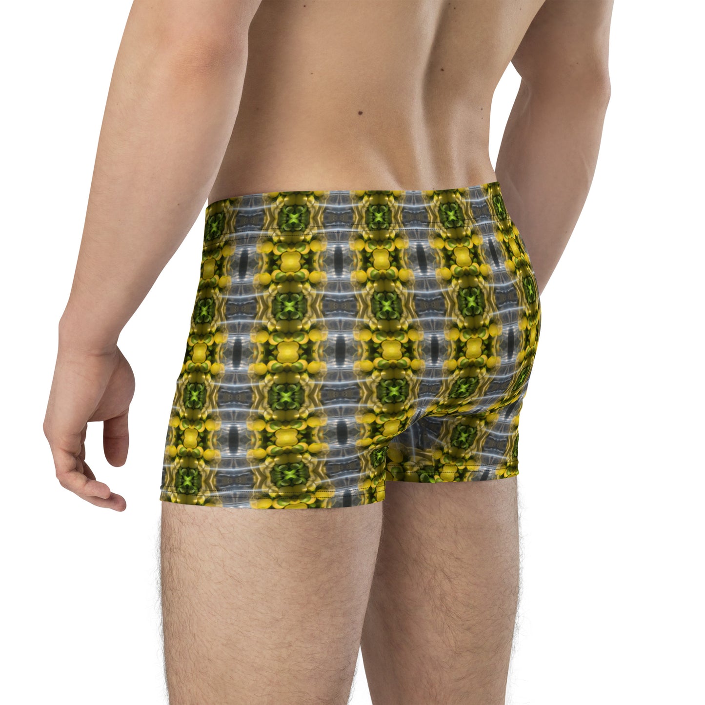 Boxer Briefs (Lemon Snakes)