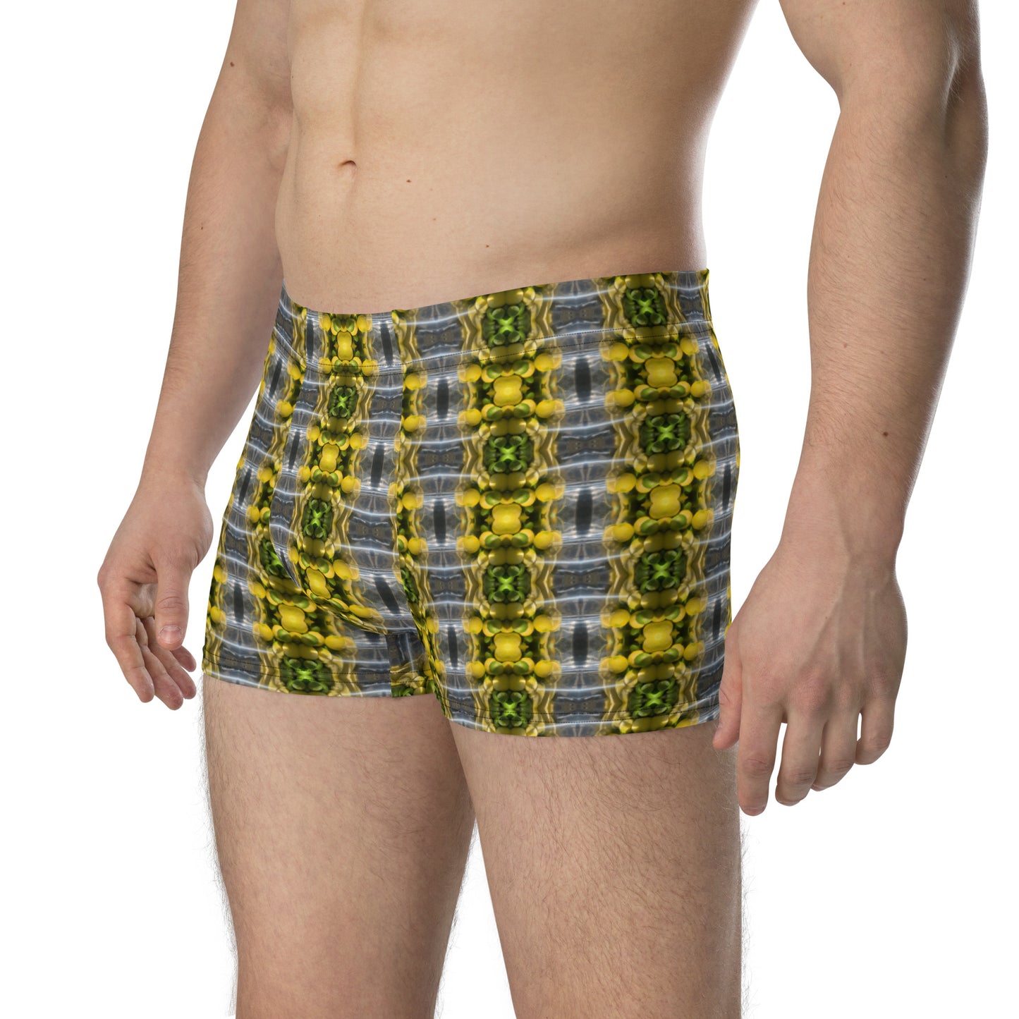 Boxer Briefs (Lemon Snakes)