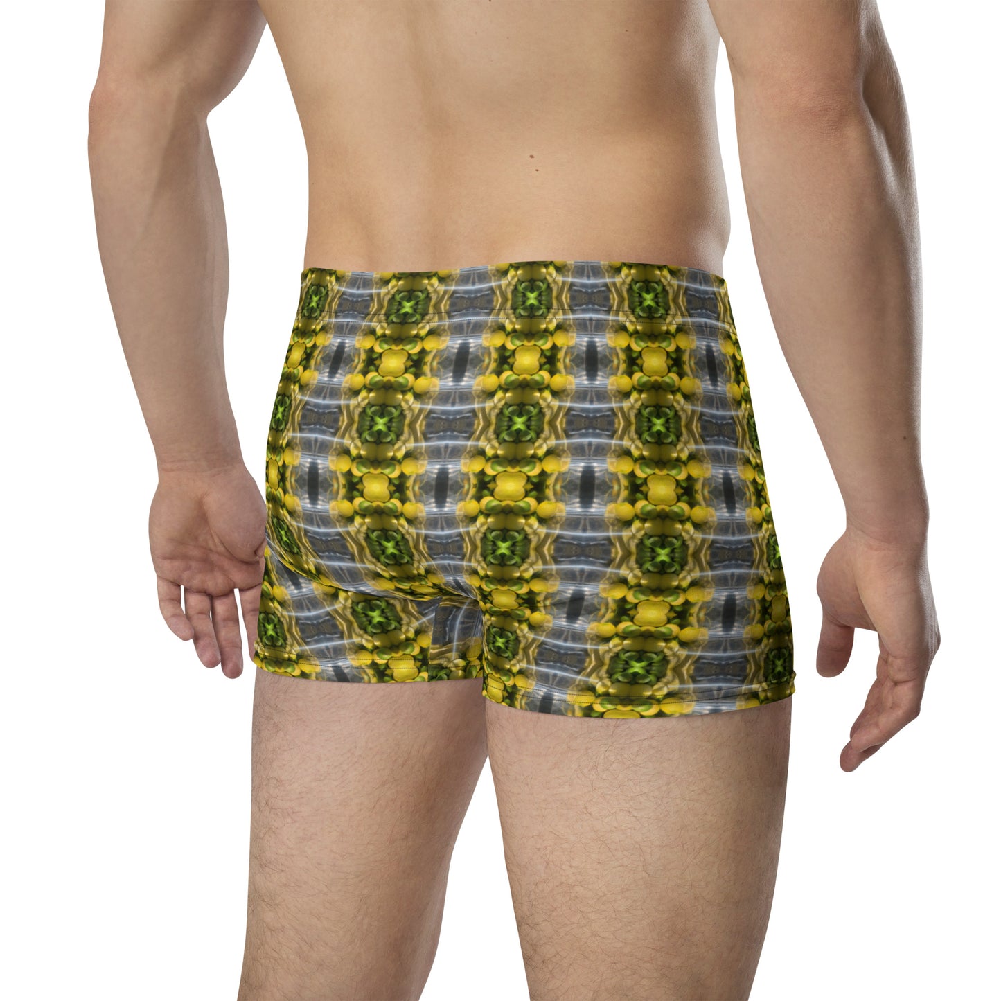 Boxer Briefs (Lemon Snakes)