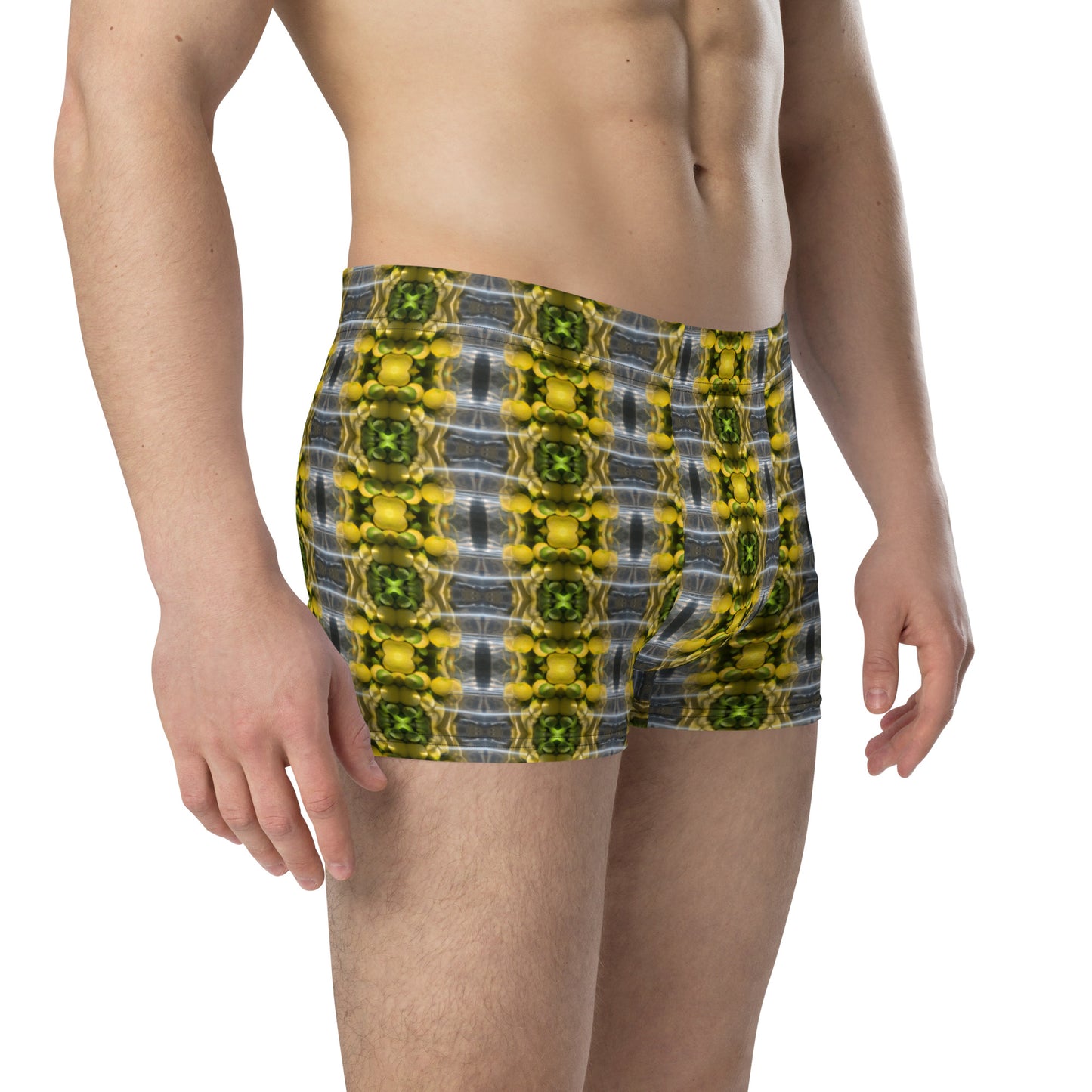 Boxer Briefs (Lemon Snakes)