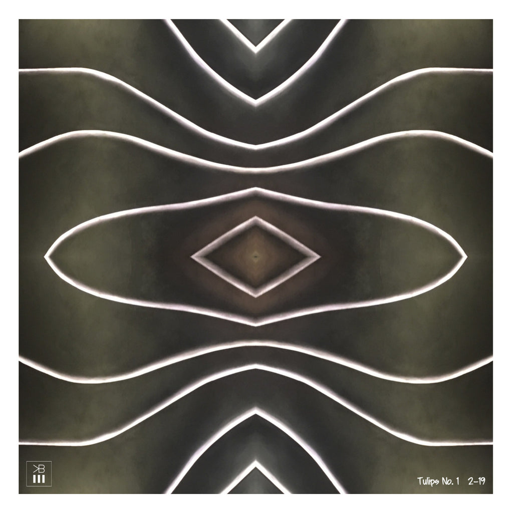 Tulips No. 1, Tulips No. 2, Tulips No. 3