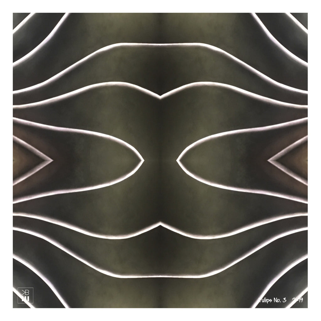 Tulips No. 1, Tulips No. 2, Tulips No. 3
